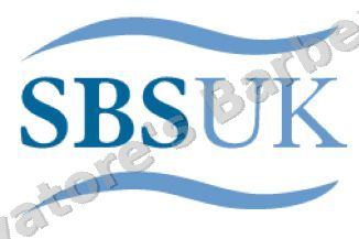 SBS UK Logo